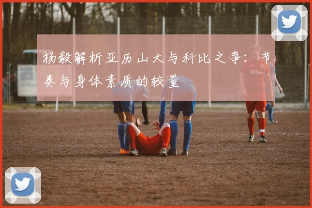 杨毅解析亚历山大与科比之争：节奏与身体素质的较量